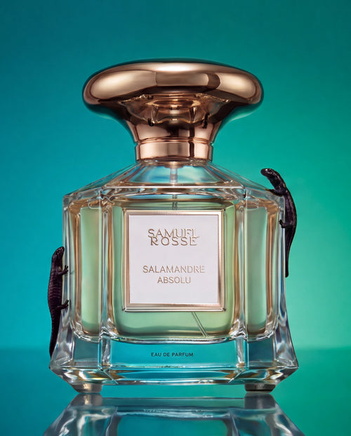 Salamandre Absolu